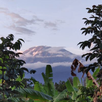 Gipfel des Kilimanjaro